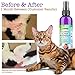Vet Recommended - Colloidal Silver for Dogs & Cats - (4oz/120ml) - Colloidal Silver Spray That Works as Natural Hot Spot Solution - Made in USA