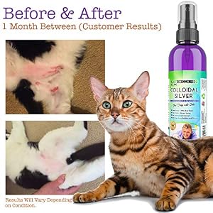 Colloidal Silver for Dogs & Cats - (4oz/120ml) - Colloidal Silver Spray That Works as Natural Hot Spot Solution - Made in USA Colloidal Silver for Dogs & Cats – (4oz/120ml) – Colloidal Silver Spray That Works as Natural Hot Spot Solution – Made in USA