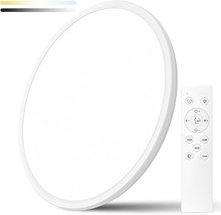 48W Dimmable LED Flush Mount Ceiling Light, 20 Inch Large Modern Round Ceiling Light with Remote Control, 3000K-6500K Selectable, Super Slim Flat Panel Lights for Bedroom Kitchen Living Dining Room