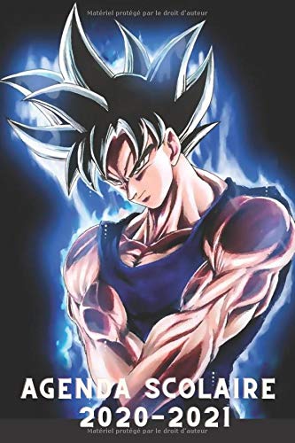 Télécharger Agenda Manga Dragon Ball 2020/2021: Agenda scolaire 2020-2021 Collège & Lycée, Septembre 2020 à S Livre PDF Gratuit