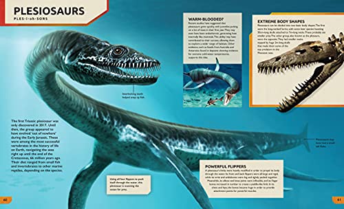 The Ultimate Dinosaur Encyclopedia: Enhanced with Stunning Interactive 3D Models and Videos 7 51MWJ5zP0cL
