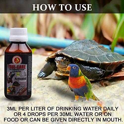 Image of Pet Care International (PCI) Toxi Care || Provide Essential Detoxification || for Healthy Iguana, Gecko and Other Scaly Pets Healthcare (100ml)