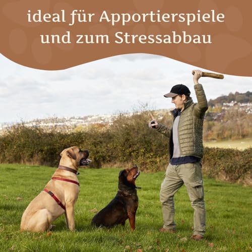 Wildfang® Olivenholz für Hunde, Größe L – robuste Kau-Sticks für Starke Kauer, Welpen-Kauspielzeuge zur Zahnung, Training der Kaumuskulatur, Olivenholz-Kaustab für Hunde (über 25kg)