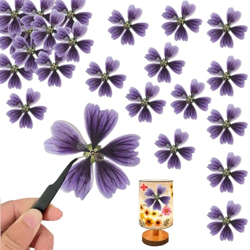 Flores Secas de Malva Prensadas Moradas para Manualidades miniatura 1