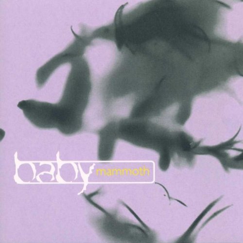 10,000 Years Beneath the Street