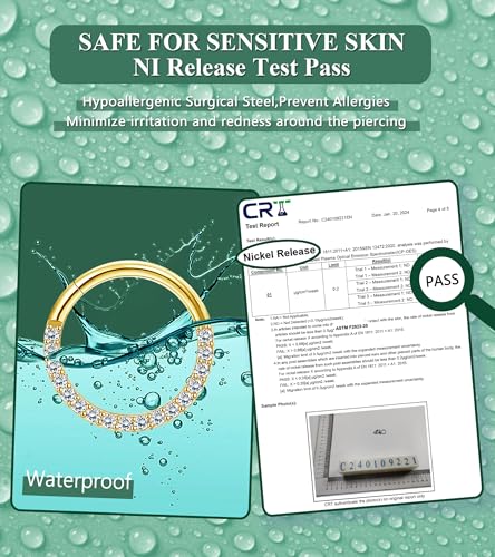 LOLIAS Septum Rings 16G 18G Surgical Steel Nose Rings Hoops for Women Seamless Clicker Hinged Segment Hoop Lip Nose Rings Conch Lip Helix Cartilage Earring Septum Jewelry Lip Nose Daith Hlix Piercing Jewelry 8MM 10MM 12MM3