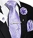 JEMYGINS Mens Lavender Paisley Tie Necktie and Pocket Square with Lapel Pin,Cufflinks,Tie Clip Sets 5PCS(14)