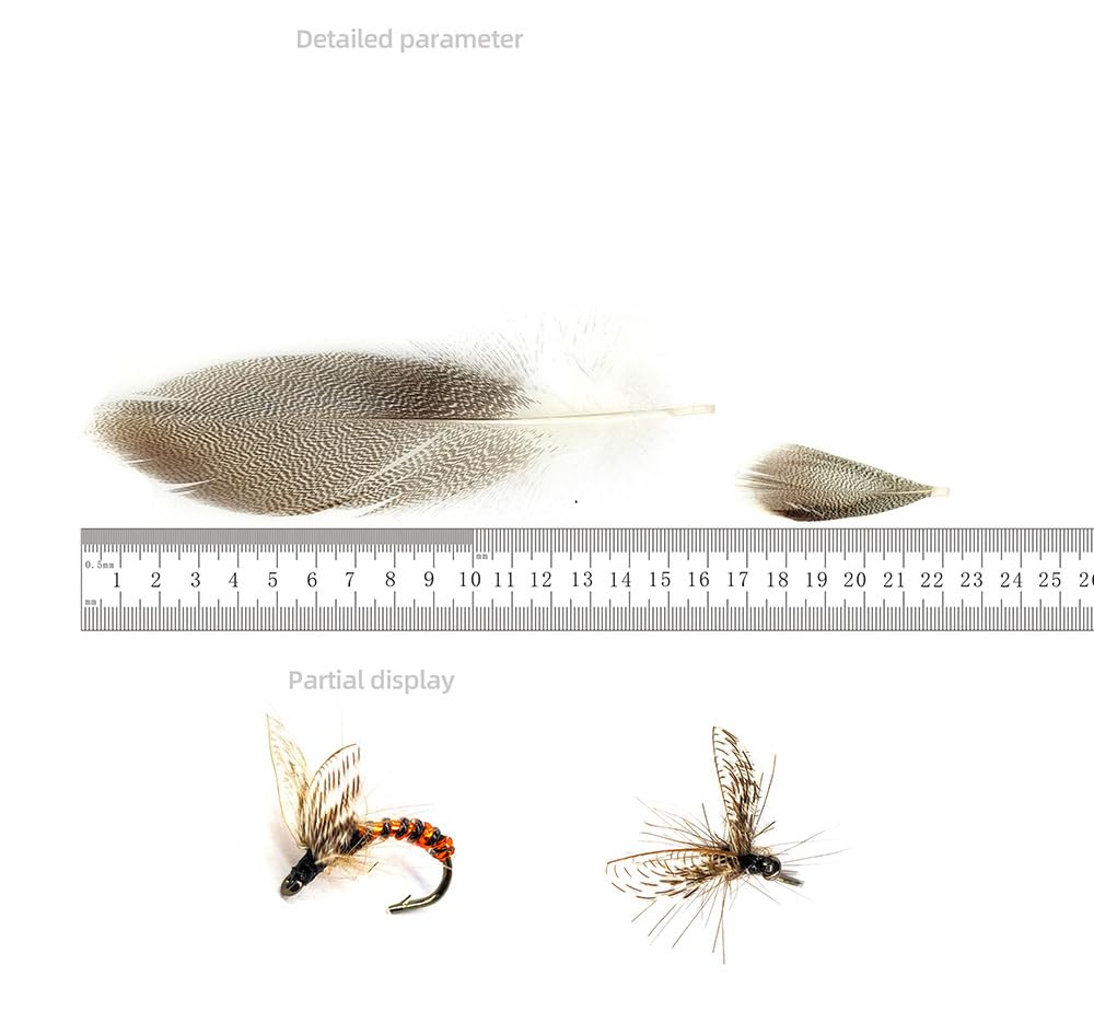Lot de 50 plumes de flanc pour attacher les mouches - Naturel - Plumes de canard - Poils d'oie sauvage