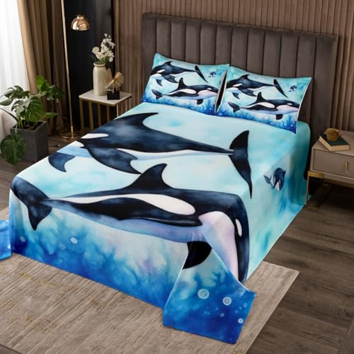 Erosebridal Killer Whale Bedding Set Orcinus Orcas Bedspread Set Underwater World Jellyfish Quilt Queen for Kids Boys Girls Deep Sea Animals Marine Life Coverlet Set 3 Pieces Child Bedroom Decor