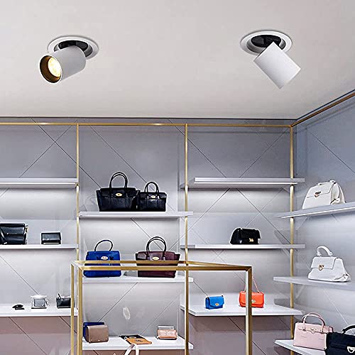Focos direccionales de 20W regulables para crear ambientes únicos en el salón 4
