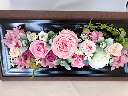 PURIZA vU[uht[ t[ IWi AW sNV[Y ̓ bsO NAP[Xt