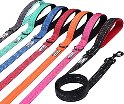 Vivaglory Dog Lead with Padded Handle, Heavy Duty Reflective 5ft Nylon Dog Training Walking Lead Leash for Medium & Large Dogs, Black