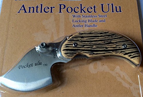 Alaska Cultured Antler Handle Pocket Ulu Knife