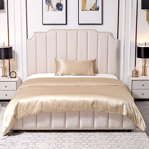 THXSILK 25 Momme Seidenbettwäsche Set 2 teilig, Bettbezug 135 x 200 cm und 40 x 80 cm Kissenbezüge, Hypoallergen Maulbeerseide Bettwäsche Set, Ultra Weich und Glatt, Champagner