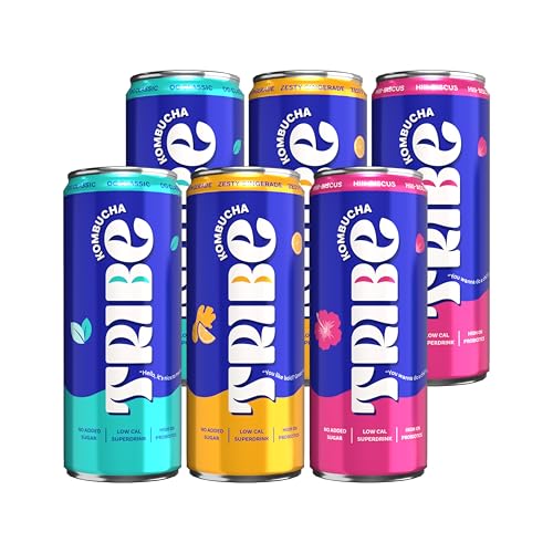 Image of Tribe Kombucha Probiotic Super Drink | Supports Gut Health | Gluten-Free | Naturally Fermented | Super Refreshing | Gut Friendly | Improves Blood Sugar | Antioxidant and Hydration | No Added Sugar | 250 ML X 6 (OG CLASSIC + ZESTY GINGERADE + HIII BISCUS)
