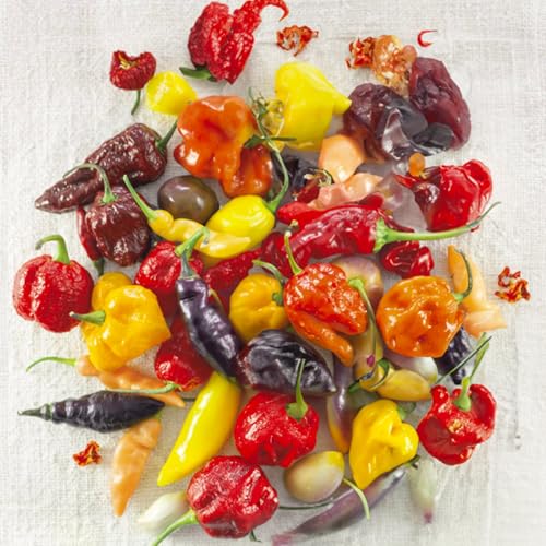 KIT SEMENTI PEPERONCINI | 5 Bustine di SEMI | Jalapeño | Thai Dragon | Habanero Red | Scorpion (Trinidad Moruga Scorpion) | Carolina Reaper | Coltiva il “fuoco” in casa!