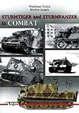 Sturmtiger and Sturmpanzer in Combat