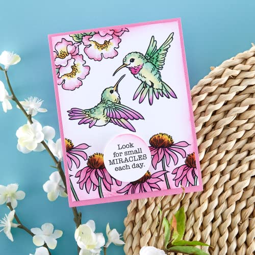 Spellbinders STP-193 Hummingbird Day Clear Stamp Set From The Stampendous Spring Collection thumb #3