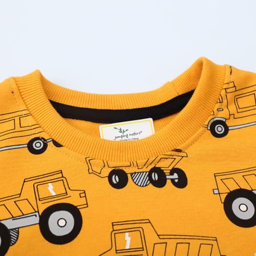 Boys Sweatshirts Casual Sweatshirts Cotton Sweatshirts Long Sleeve T-shirts Crew Neck Cartoon Tops for Boys-7503