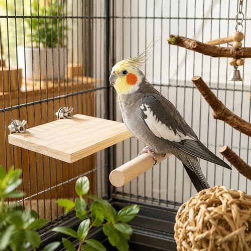 Image of LOGOFUN 4 Pcs Birds Wooden Perches and Stand Stick Parrot Stand Perch Platform Bird Cage Accessories