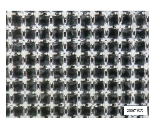 真作】//（画）円山應震/（賛）香川景樹/大樹画賛/布袋屋掛軸HG-756 真