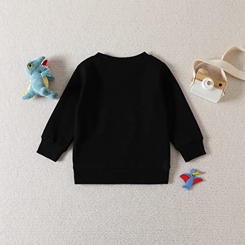 Infant Toddler Baby Basic Sweatshirt Cute Pullover Tops Long Sleeve Casual Sweater Shirts Baby Boys Hoodie Sweatshirt2
