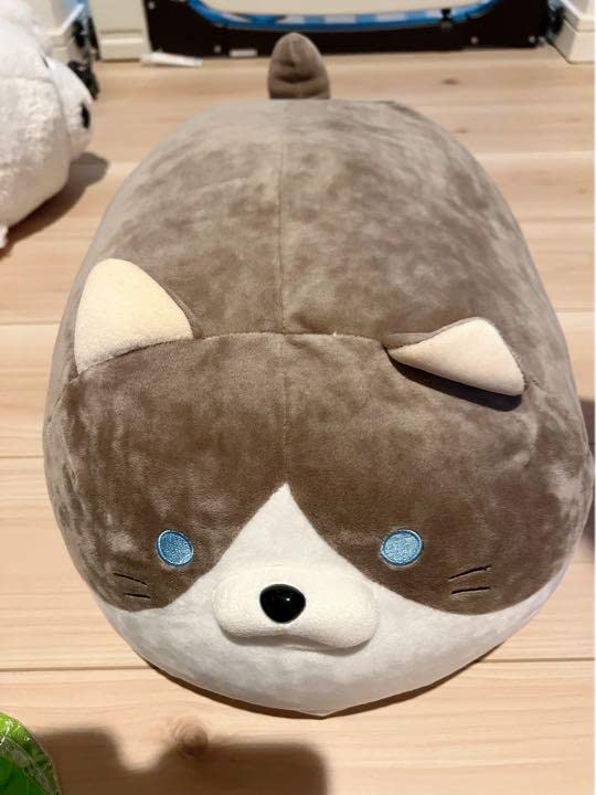 Amazon.co.jp: ごろネコサミットフクダ : おもちゃ