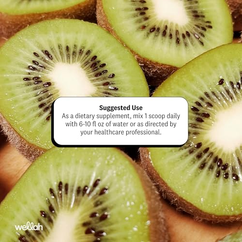 Image of Wellah Creatine + Electrolytes Powder (Guava Kiwi) 30 Servings | Hydration Drink Mix with 3g of Creatine Monohydrate