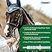 Ramard Total Calm and Focus for Horses Supplement - Magnesium & Calming Formula for Horse Show, Training, Performance Mental Alertness Without Drowsiness, Show Safe, Equine Supplies 1oz Syringe 3Packs