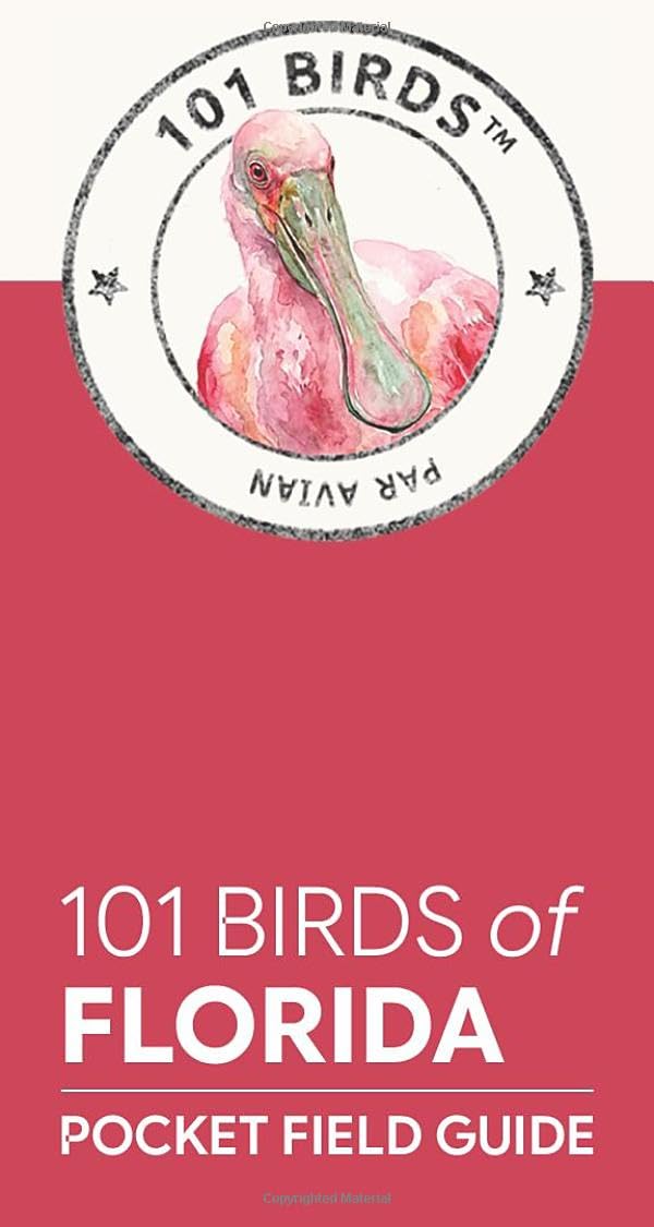 101 Birds of Florida: Pocket Field Guide (101 Birds Pocket Field Guides)