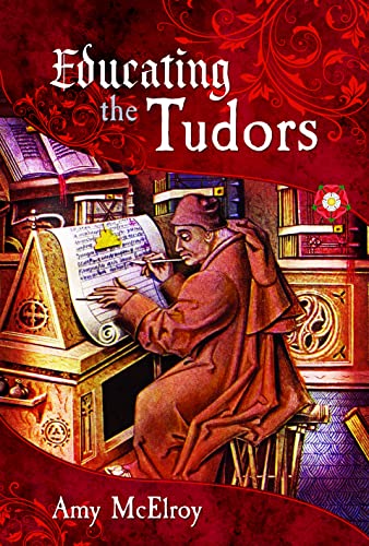 Educating the Tudors view 2