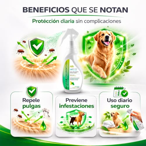 Reviews de El perro consentido los 5 más buscados. 15 Imagen adicional