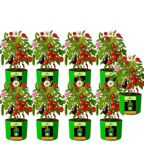 Image of Kingwell Plant Grow Bags 12x12 inch pack of 9, Bags for Plants Gardening Home, Grow Bags for Terrace Gardening