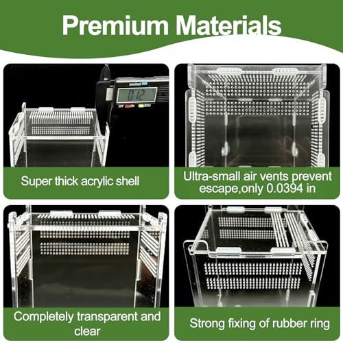 Image of Jumping Spider Enclosure,Insects Habitat,Small Reptile Terrarium Glass House,for Spiders,Tarantulas,Snail,Mantis,Lizard and Small Reptiles,4.72 inchx4.33 inchx4.33 inch