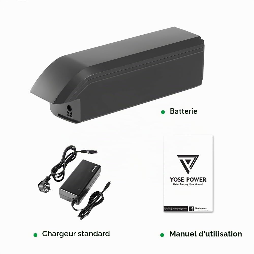 Batterie Vélo Électrique 48V 14Ah SF-06S JCEB480-11.6 avec Chargeur | pour Moteur 48V 250W/350W/800W Compatible avec Phylion Fischer Bianchi Ebike
