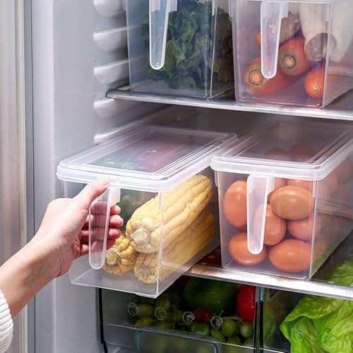 Image of Fridge Storage Boxes /Food Grade Kitchen Containers /Square Handle Food Storage Organizer Boxes With Lid And Handle For Refrigerator Vegetables -5L Air Tight (Pack Of 1), Transparent