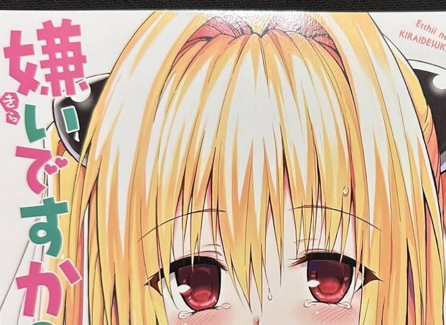 飛　大慈　コミケ　グッズセット　キャンセル分 飛 大慈 コミケ グッズセット キャンセル分 C106新刊セット