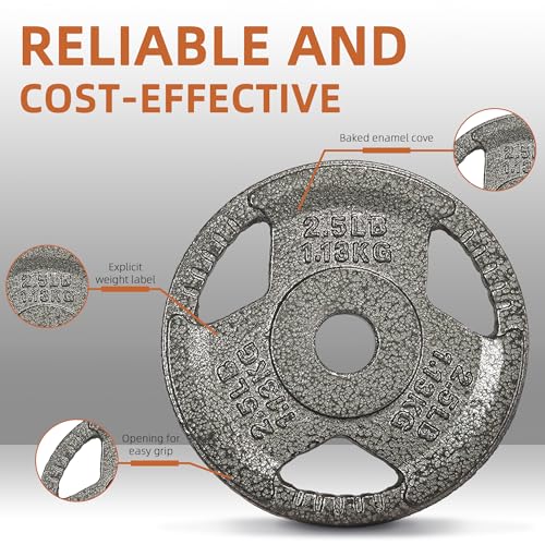 Image of Fitvids Cast Iron 1-Inch Standard Weight Plate for Strength Training & Weightlifting, Multiple Weights Available