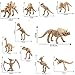 WedFeir 24pcs Dinosaur Fossil Skeletons, 3.7 Inch Assorted Figures Dino Bones, Educational Gift for Science Play, Dino Sand Dig, Party Favor & Decorations.
