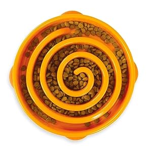 Outward Hound Fun Feeder Slo Bowl, Slow Feeder Dog Bowl, Large/Regular, Orange