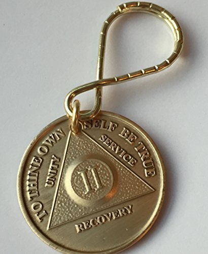 Wendells 2 Year Aa Medallion Key Tag With Serenity Prayer Back Keychain Chip #TOP2