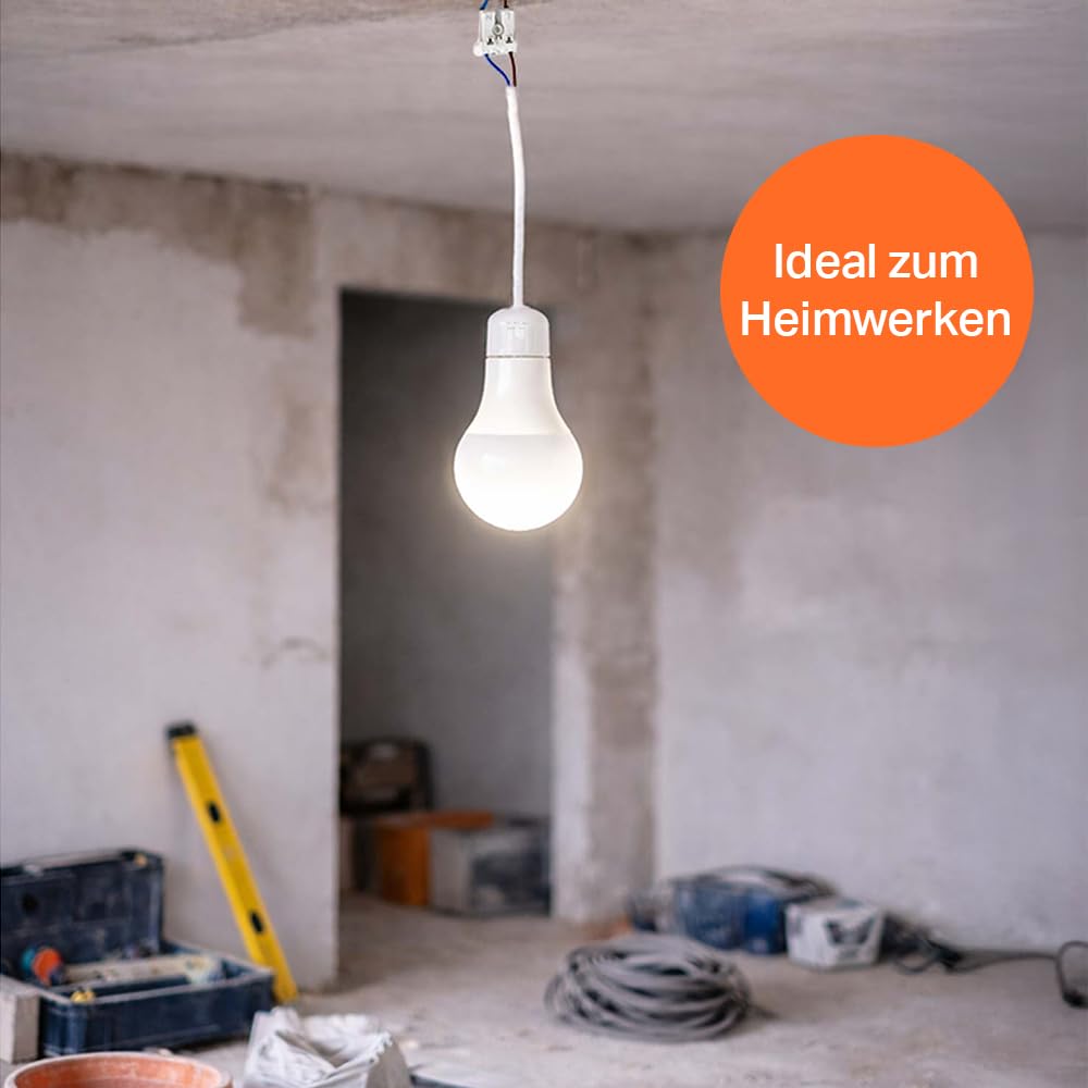 NCC-Licht 10 x lampa LED do renowacji 10 W, CCT regulowana barwa światła, wytrzymała obudowa z żarówką i zaciskiem wtykowym, oświetlenie robocze na strych i piwnicy