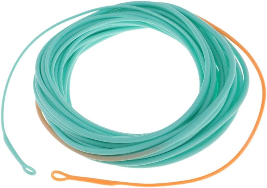 Skagit Head Floating Fly Fishing Line for Long Casting & Fast Action - Powerful Front End, Low Stretch Core, Blue/Orange Color - for Fast Flowing Water, Perfect for Experienced - 25FT 650gr