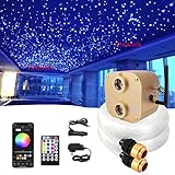 Bluetooth 20W Twinkle Dual Port Starlight Headliner Light Kit 720pcs*0.03in*9.8ft