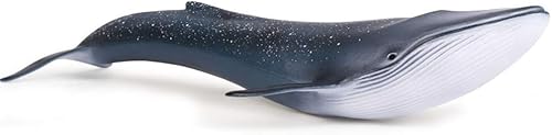 EOIVSH Figura de animal marino, juguete de ballena azul, figura de plástico grande de animales oceánicos, figura realista de modelo marino educativo