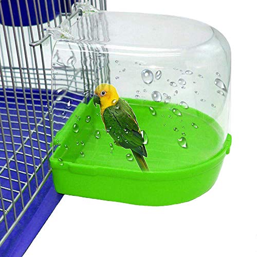 Best Cages For Parakeets