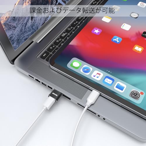 ENVEL ENVEL USB Type-C 変換アダプタ 4パック USB 3.0 10Gbps USB Cアダプタ OTGコンバーター の商品画像 2