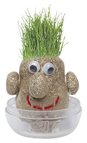 Trendhaus 944900 hoppsi 's Mini de Hierba, Cabeza de Juguete