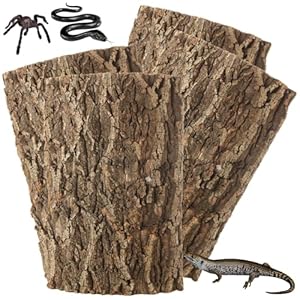RHBLME 6 Stück Korkrinde Reptilien Hintergrund