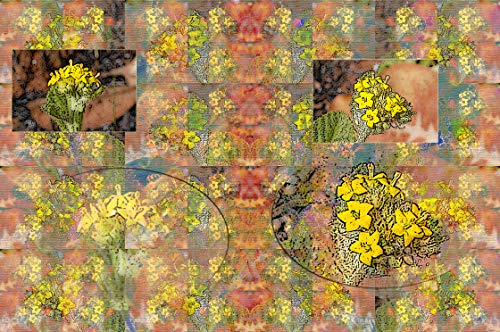 O planeta das flores amarelas